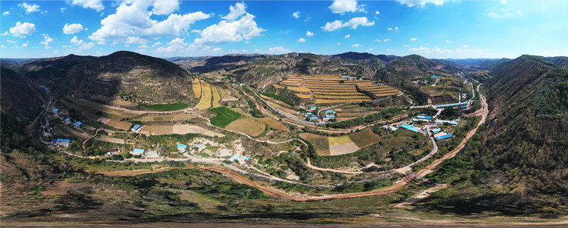杏河镇牛寨村小杂粮示范基地.jpg