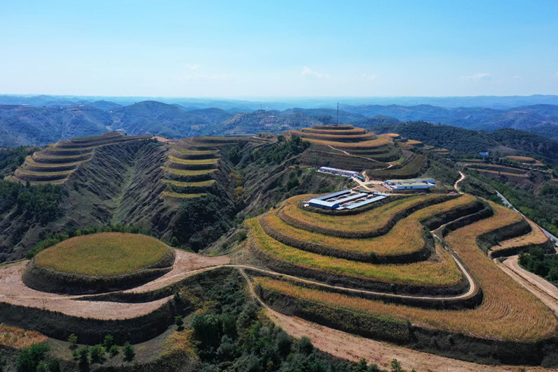 志丹县保安街道办冯坡村志丹县新绿家庭农场全景.jpg