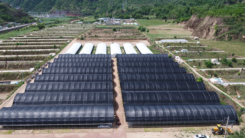 志丹县顺宁镇保娃沟门村食用菌产业园区.jpg