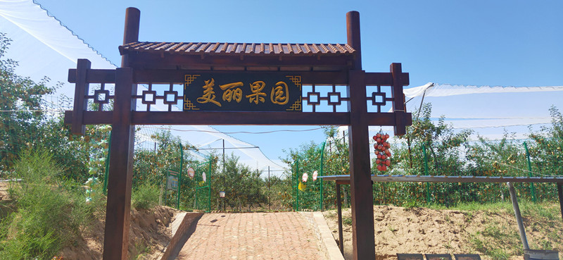 纸坊便民服务中心米岭山村集体经济美丽果园.jpg
